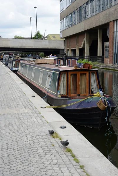 DSC_2731 (Large).JPG